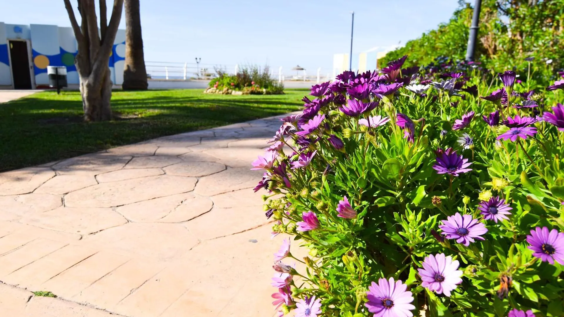 Letmalaga Santa Clara Apartment Torremolinos 0*,  Spain