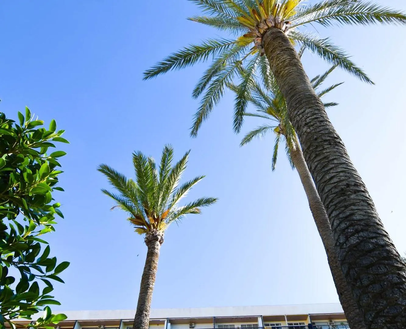 Apartmán Letmalaga Santa Clara Torremolinos 0*,